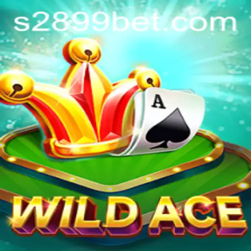 Discovering WildAce: An Immersive Casino Experience